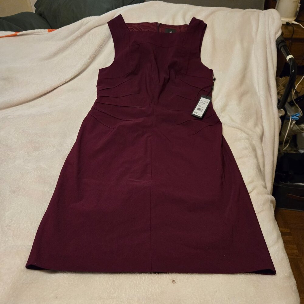 Adrianna Papell Burgundy Dress